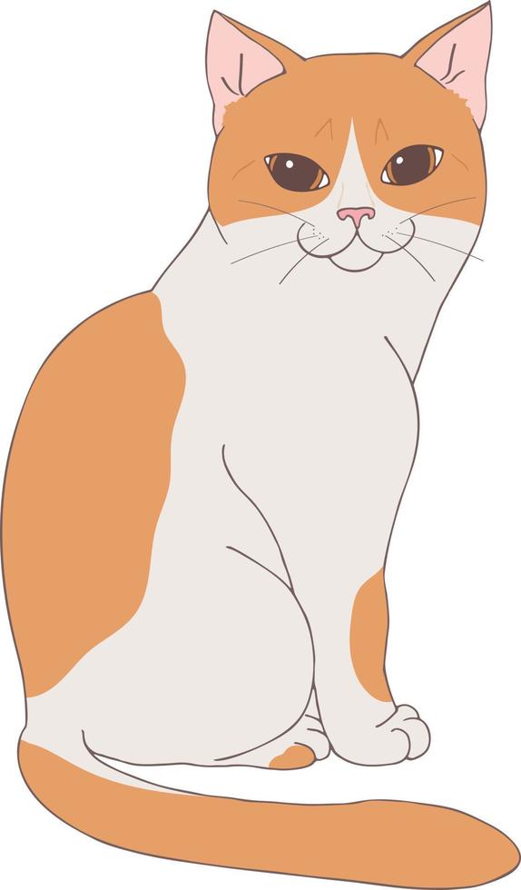 Cute white and ginger cat posing isolated on white background. Sitting animal. Hand drawn cat. Sketch. Vector art