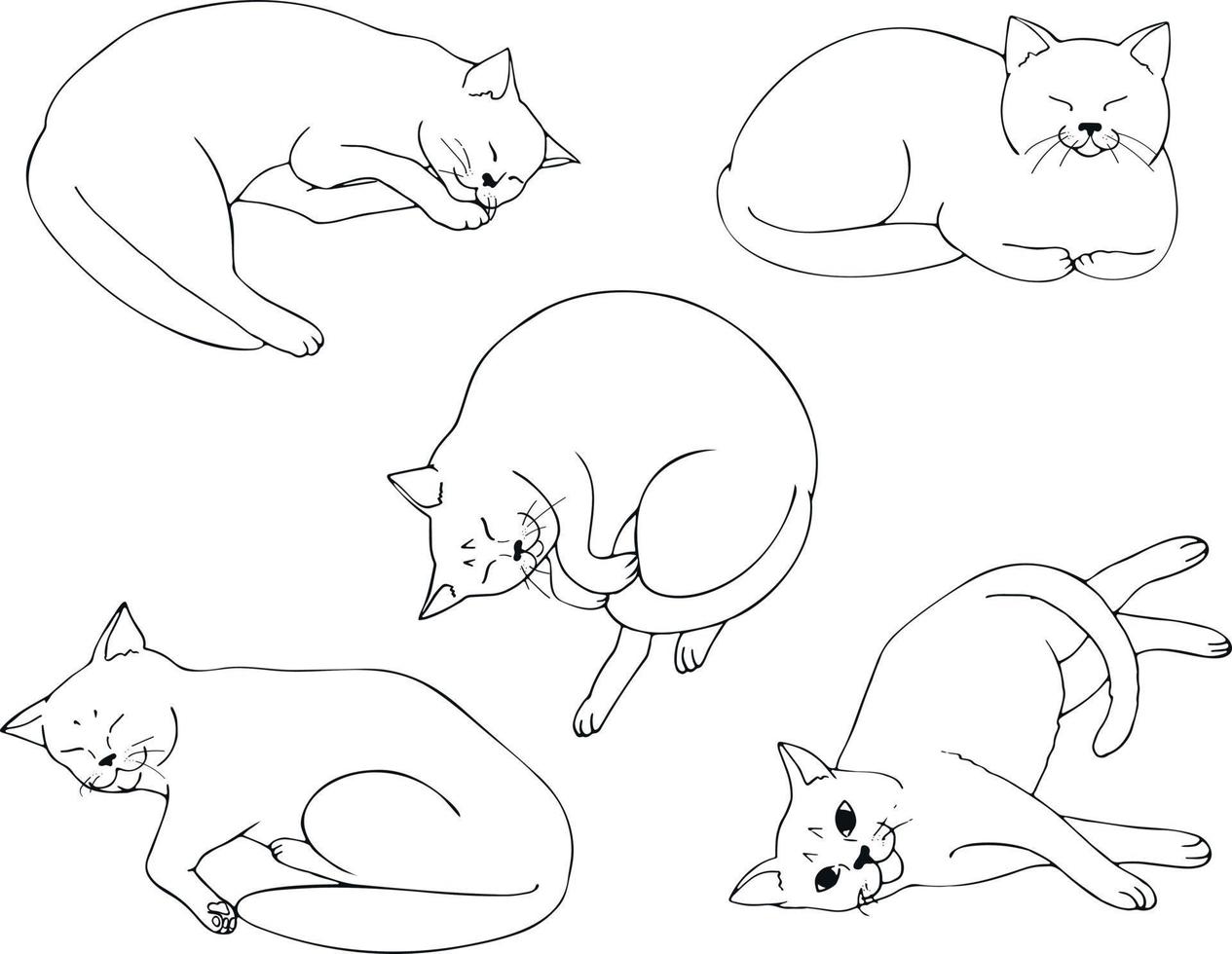 Cute cat lies in different positions vector