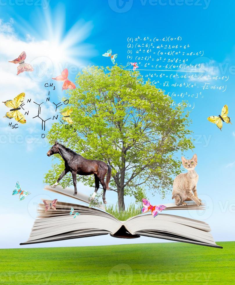 Magic book with a green tree and diferent animals photo