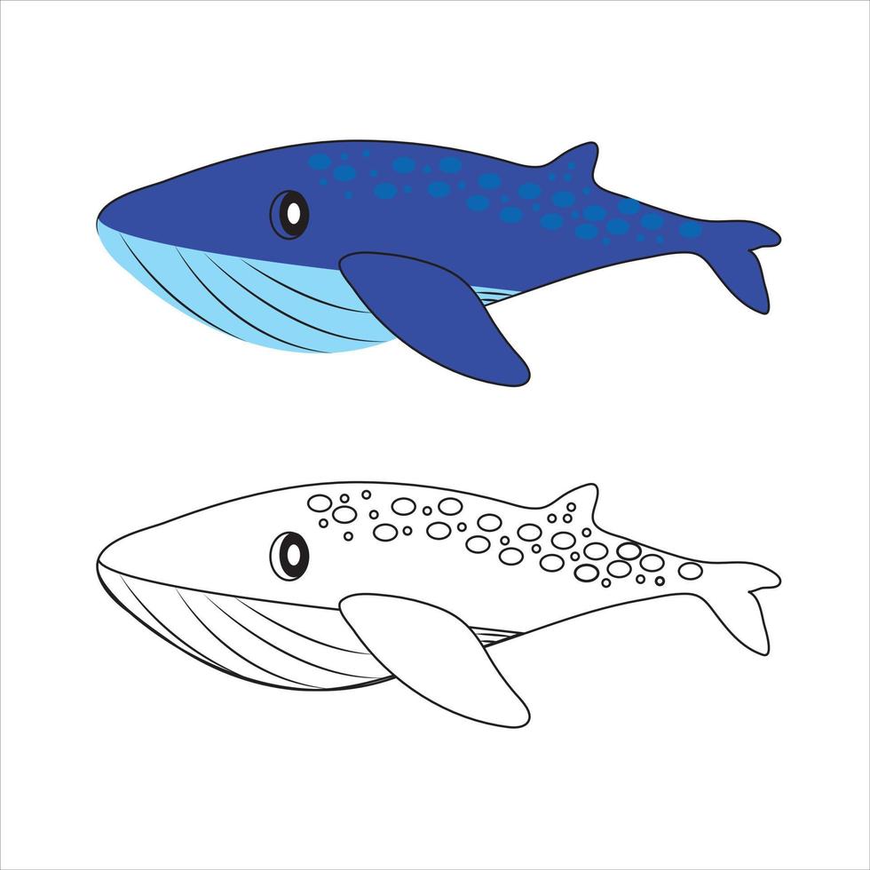 marine mammals blue whales, sharks, sperm whales, dolphins, beluga whales, narwhal killer whales. Cartoon vector graphics.