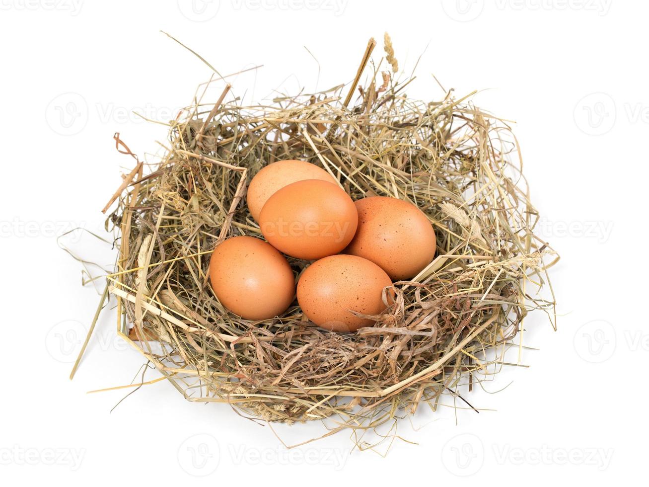 Brown eggs in a nest on a white photo