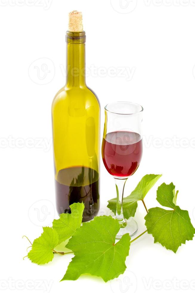 Wine glass and leaves photo