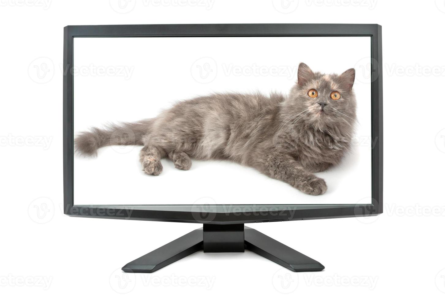 Monitor on white background photo