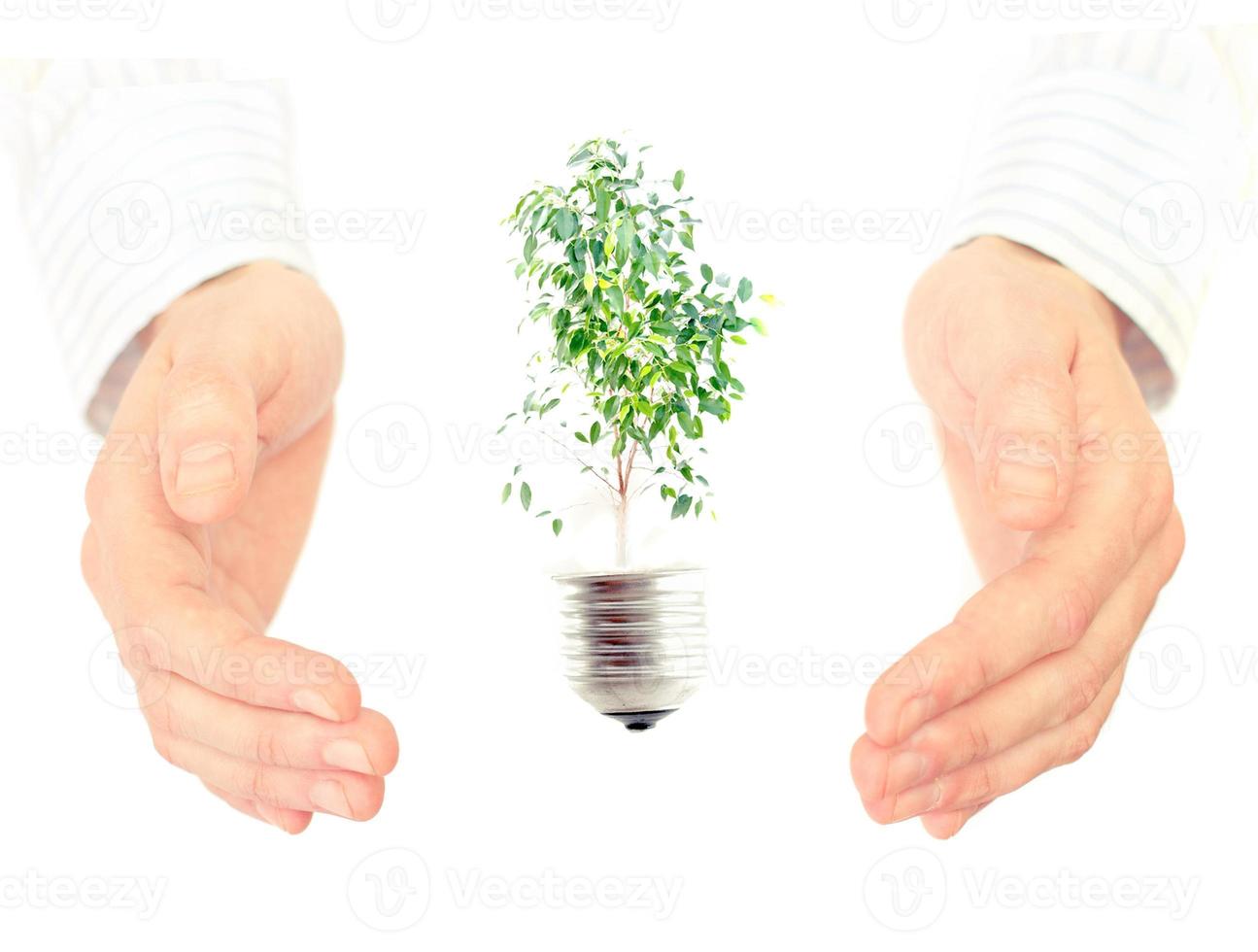 Green energy concept. photo