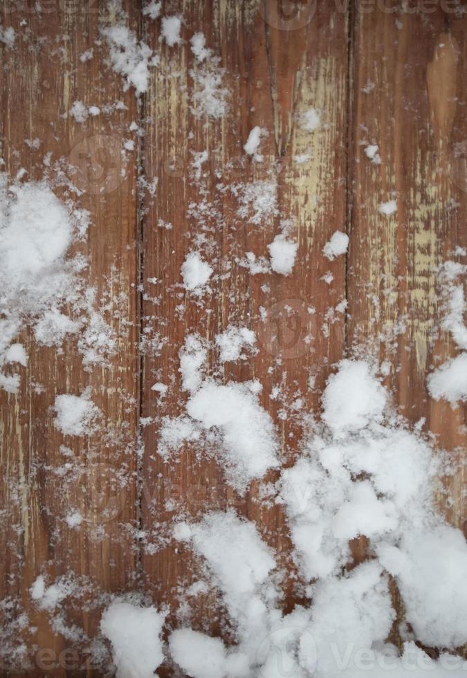 The texture of an old tree with a snowy Christmas background. photo