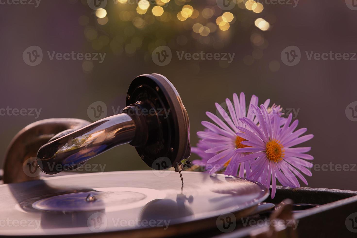 Luxurious retro gramophone with a vinyl record with a romantic bouquet of flowers. photo