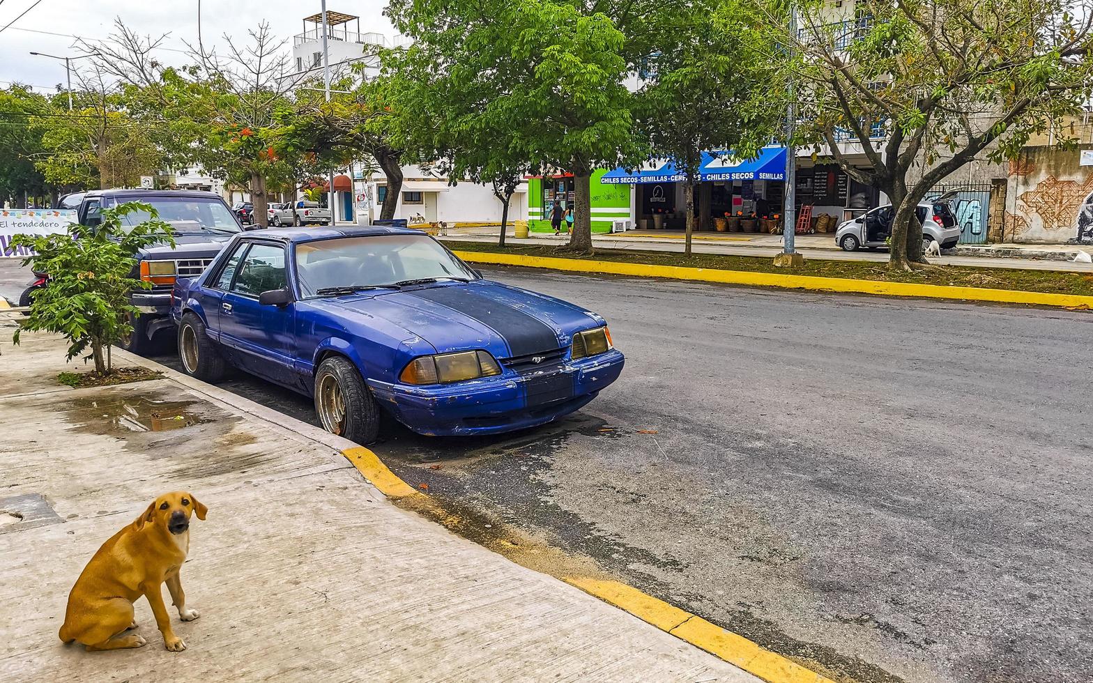 Playa del Carmen Quintana Roo Mexico 2021 Typical street road and cityscape of Playa del Carmen Mexico. photo