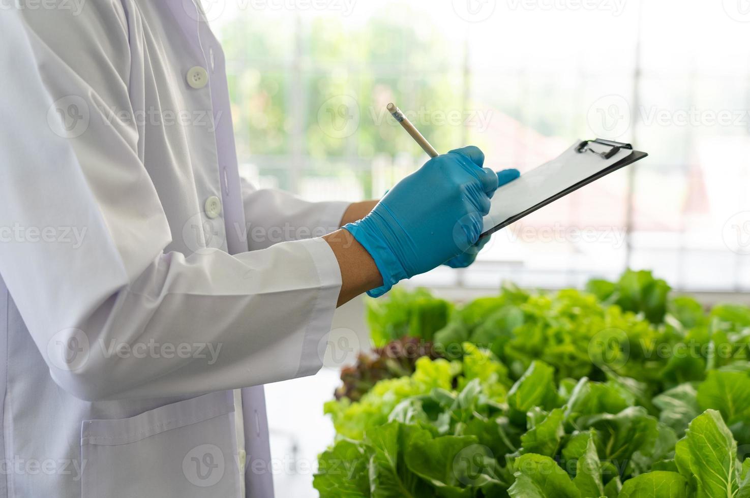 científico haciendo experimentar en agricultura laboratorio a desarrollar genético modificación cultivos foto