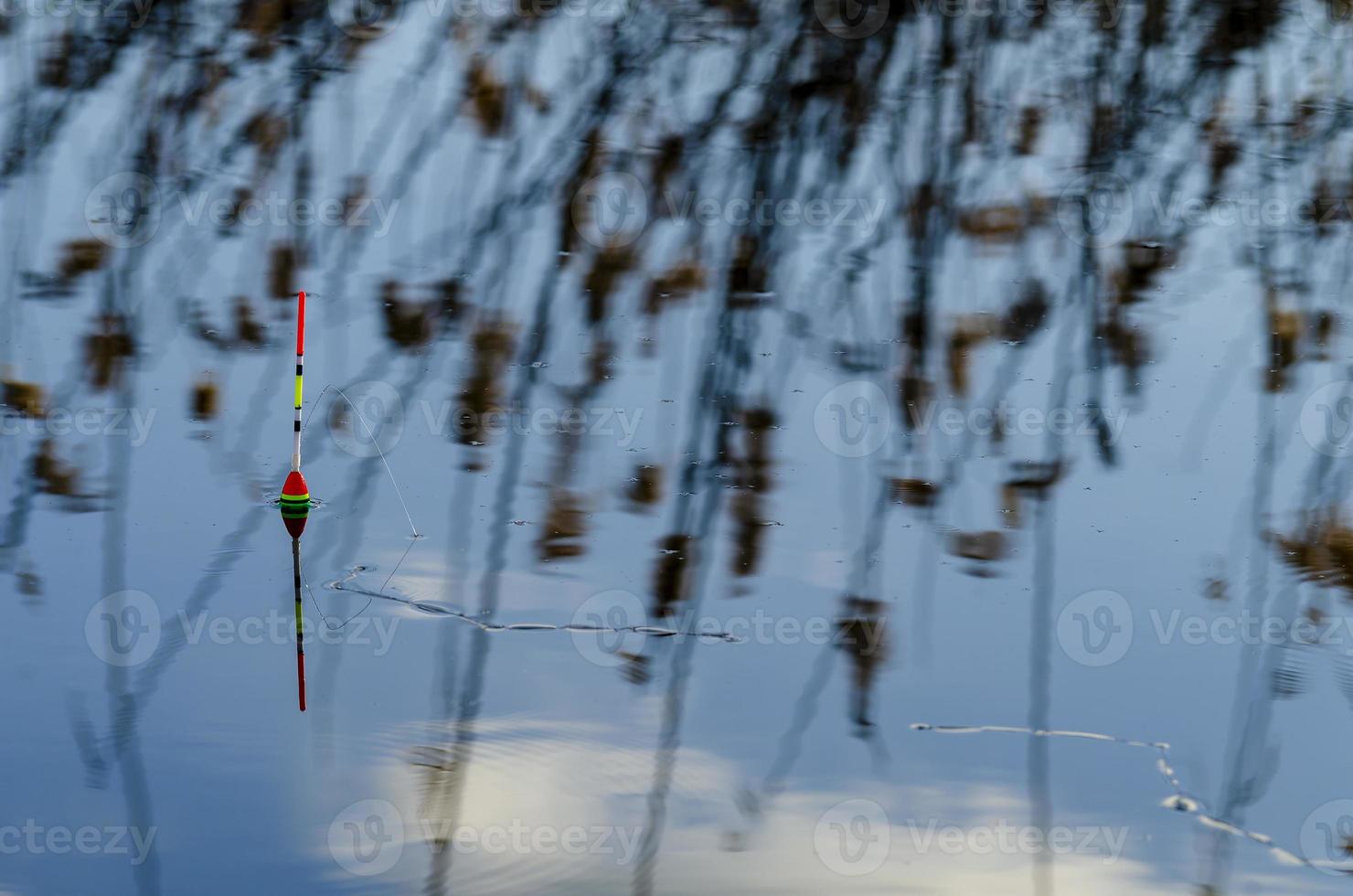 Fishing float in blue water. The float floats on the water surface of the lake, describing circles on the water. Side view. photo