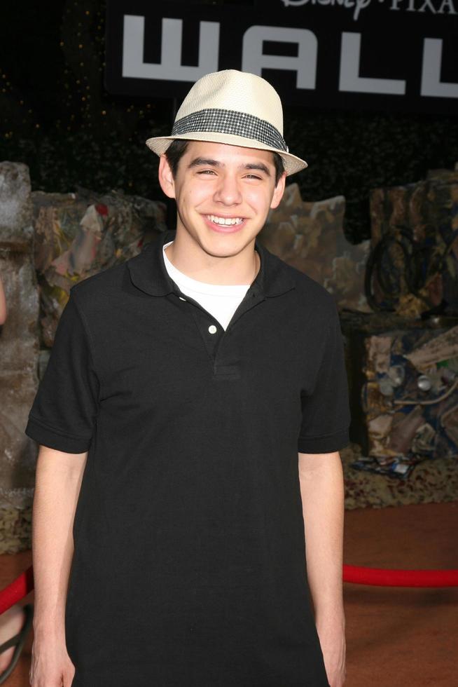 David Archuletta  arriving at the Wolrd Premiere of WallE at the Greek Theater in Los Angeles CA onJune 21 20082008 photo