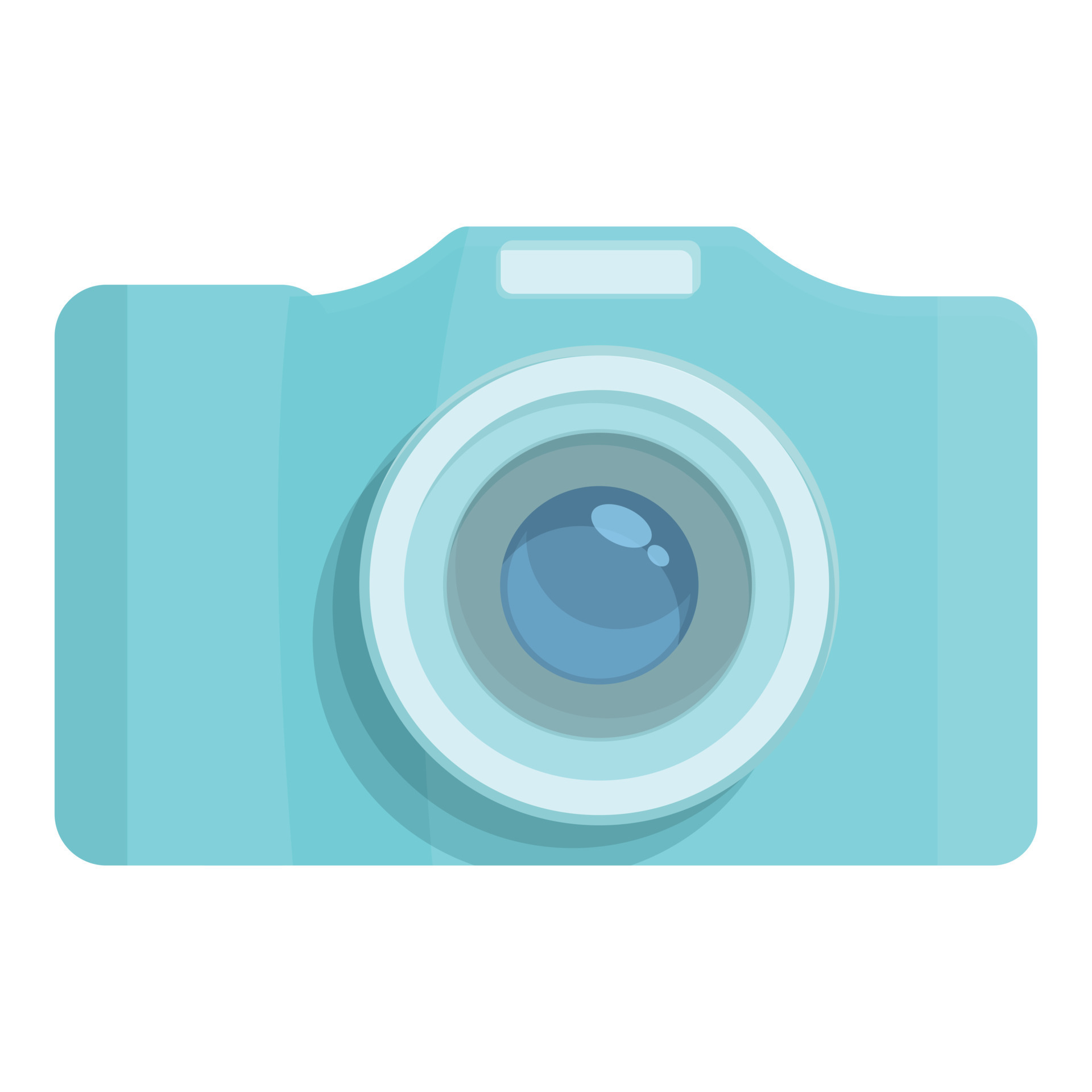 Flash camera icon cartoon vector. Photo image 21212640 Vector Art at