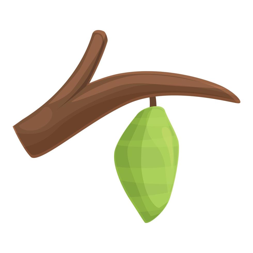 Butterfly larva icon cartoon vector. Natural cocoon vector
