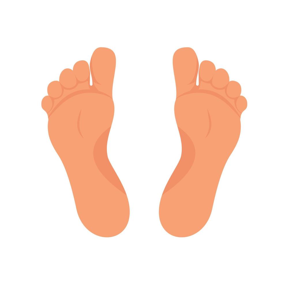 Left and right foot soles illustration for footwear, shoe concepts