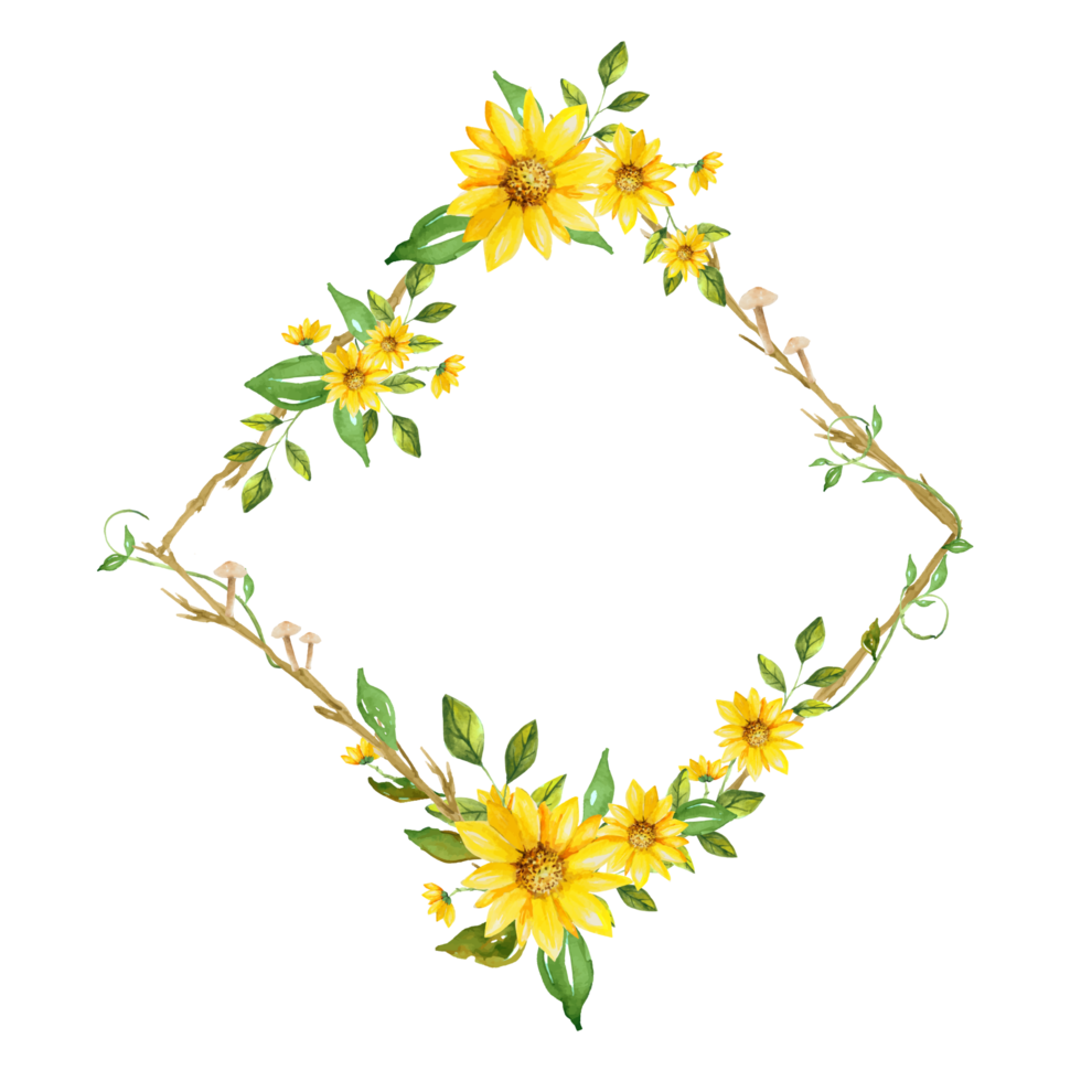 luminosa girasole telaio png