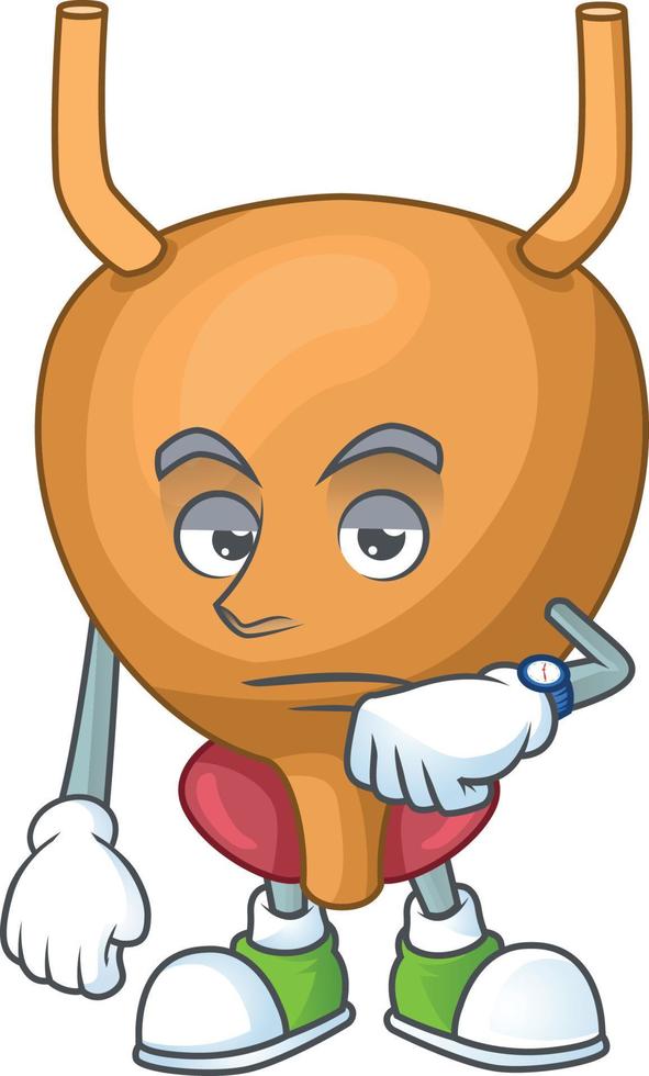 Bladder Cartoon character vector