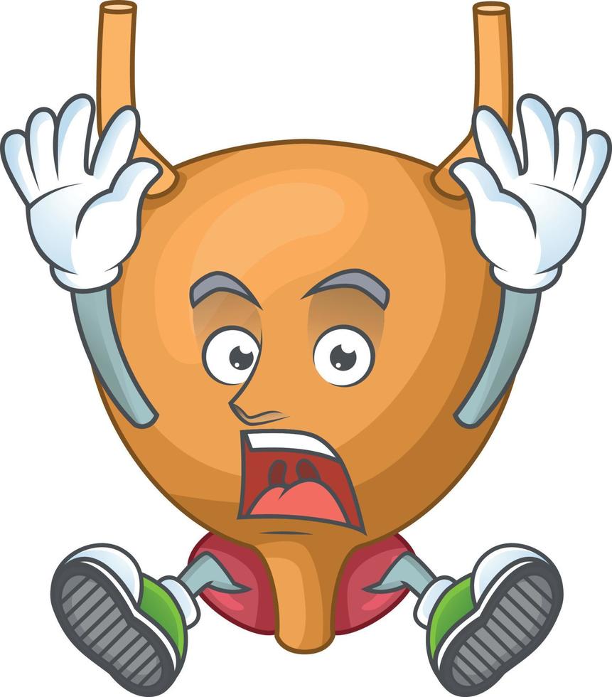 Bladder Cartoon character vector