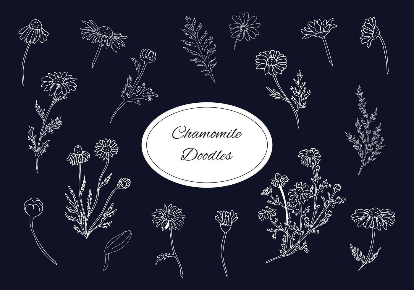 Hand drawn chamomile flower doodles vector