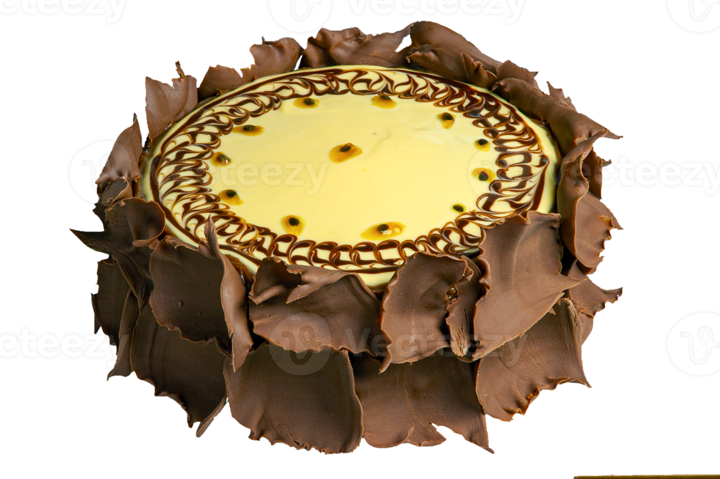 Chocolat gâteau avec passion fruit png