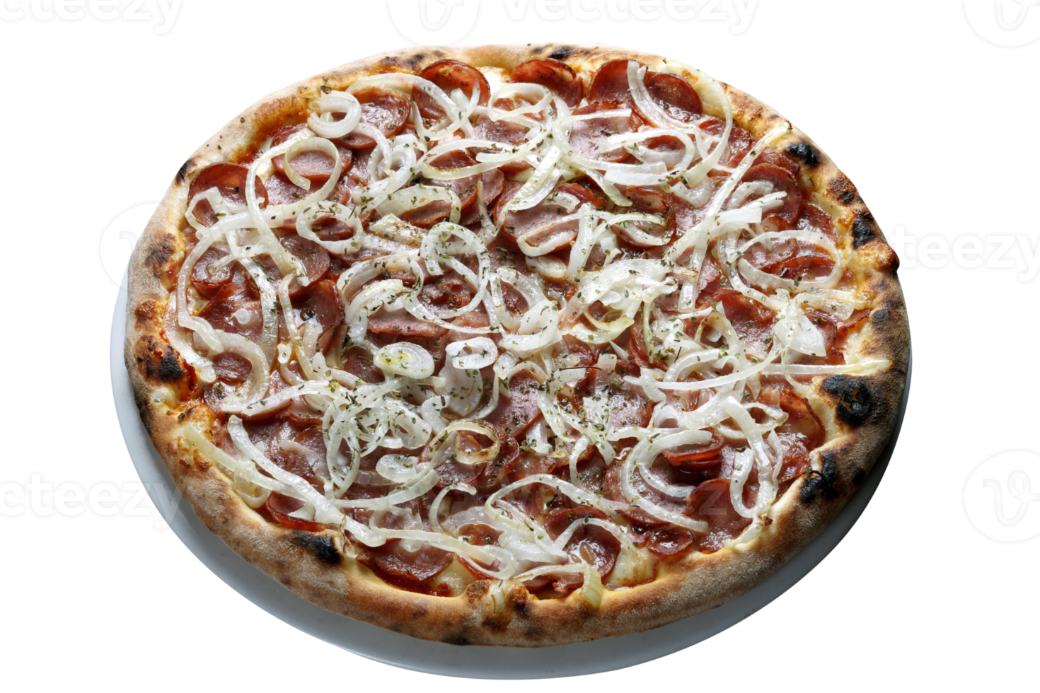 calabresa pizza com cebolas 21217529 PNG