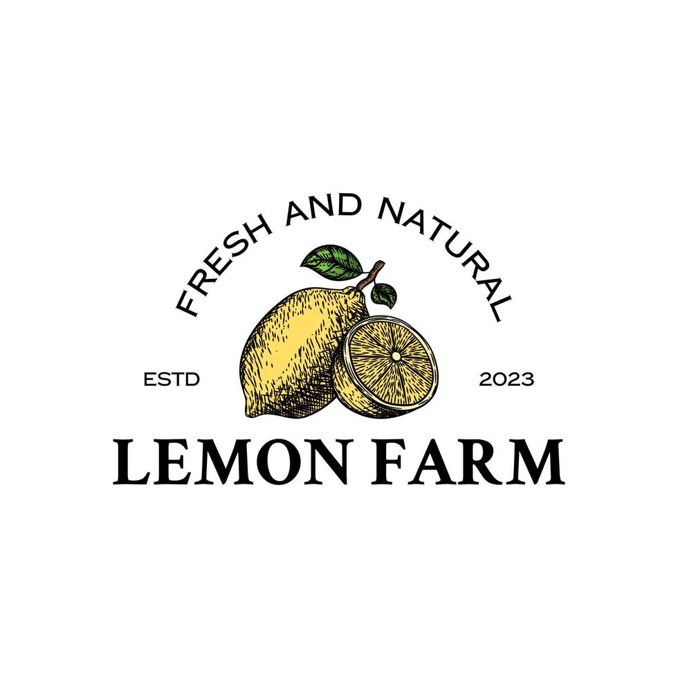 Lemon Badge or Logo Template. Hand Drawn Lemons with Leaves Sketch with Retro Typography and Borders. Vintage Premium Emblem vector