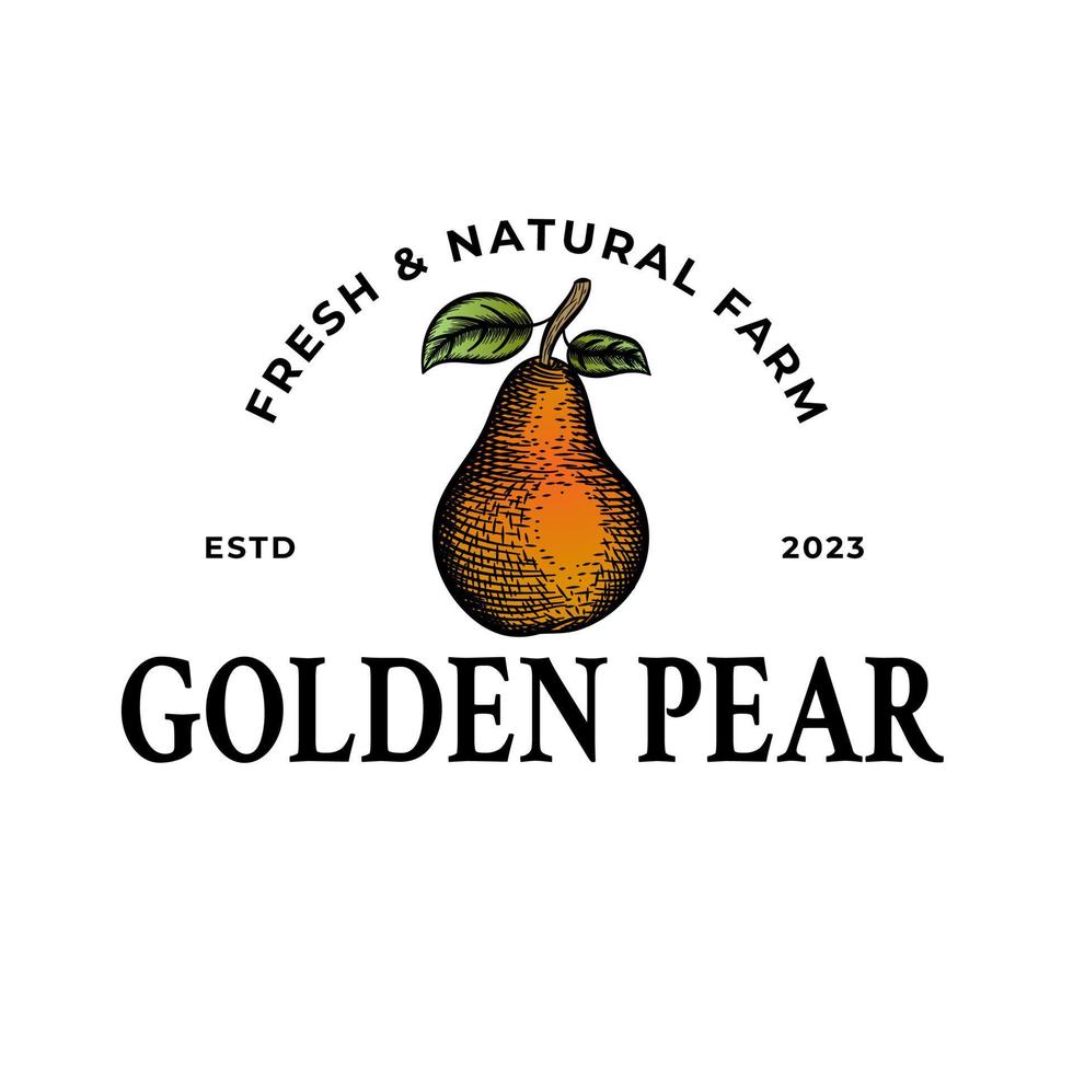 Golden Pear Farm Badge or Logo Template. Hand Drawn Pears with Leaf Sketch with Retro Typography and Borders. Vintage Premium Emblem. Isolated. vector