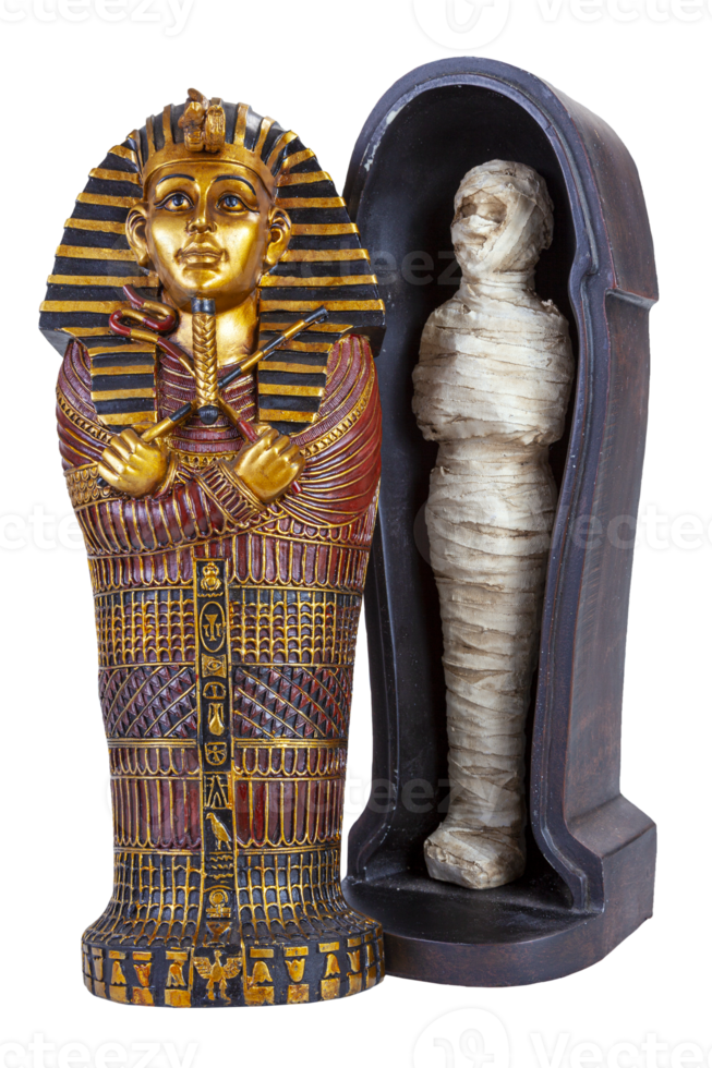 momie farcie dans le sarcophage sur fond blanc png