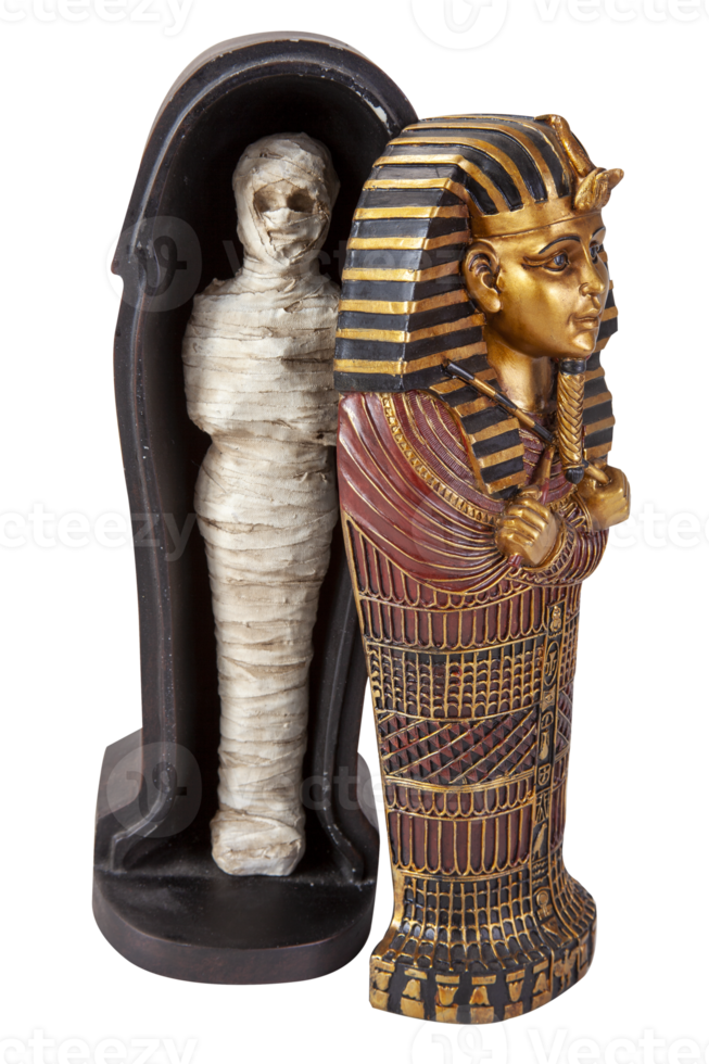 Mummy stuffed in the sarcophagus png