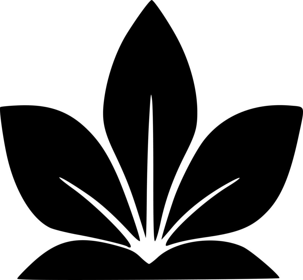 black and white of leaf icon vector