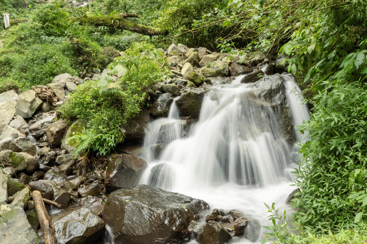 Scenery of single water fall on the tropical forest. The photo is suitable to use for adventure content media, nature poster and forest background.