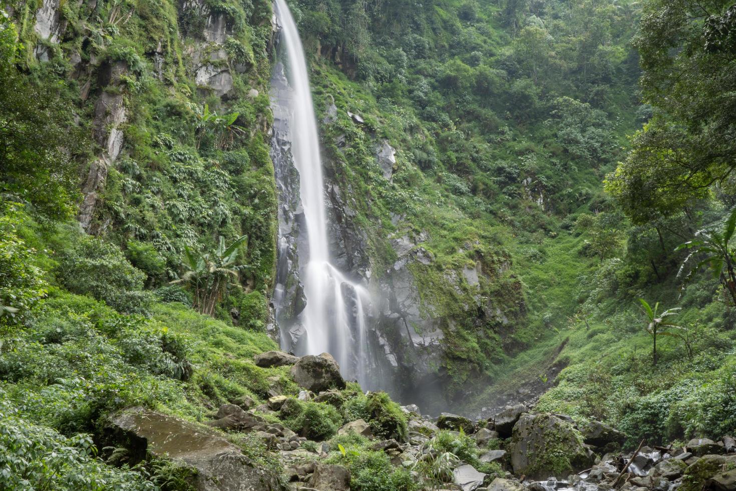 Scenery of single water fall on the tropical forest. The photo is suitable to use for adventure content media, nature poster and forest background.