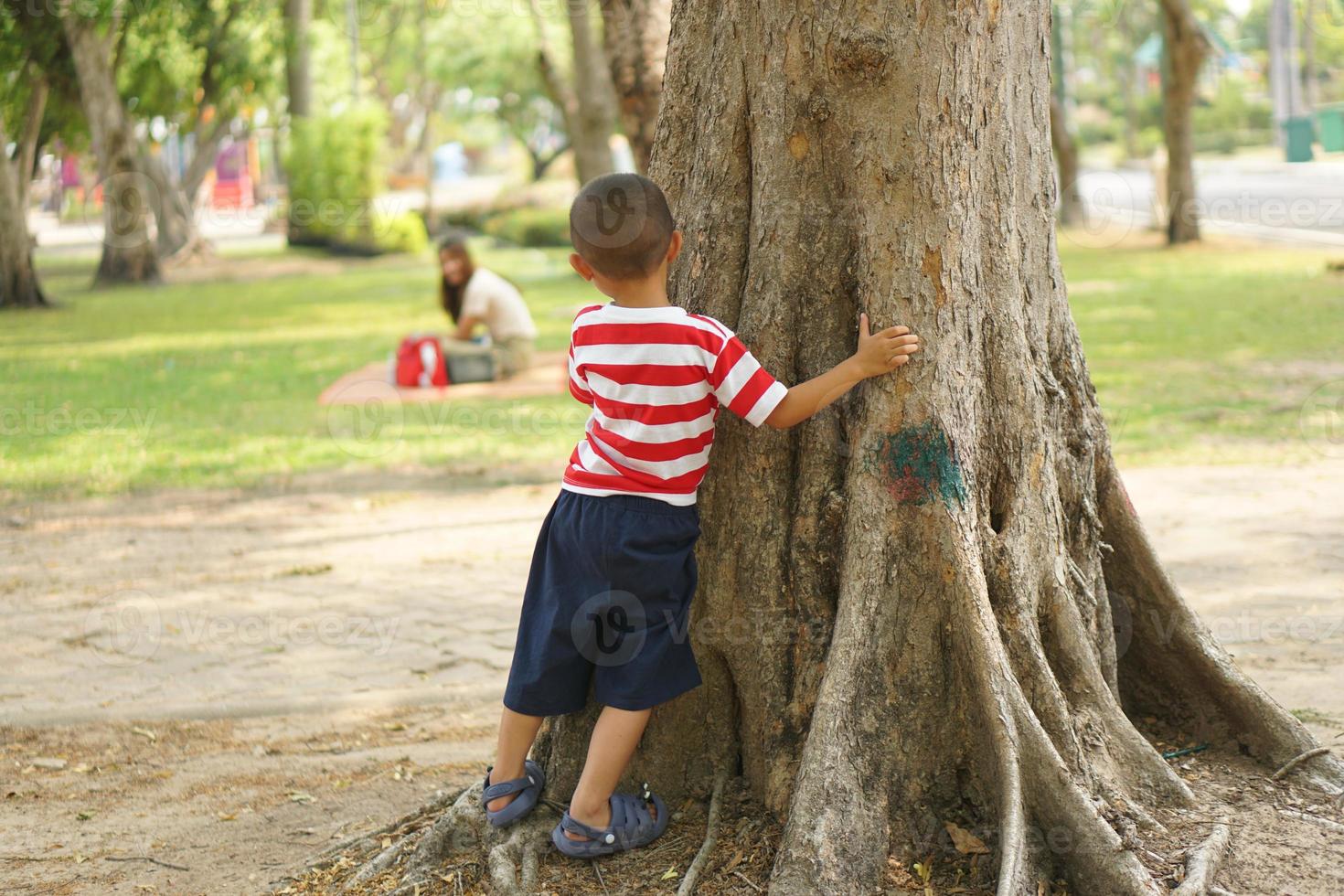 A boy hides behind a tree so his mother can't see photo