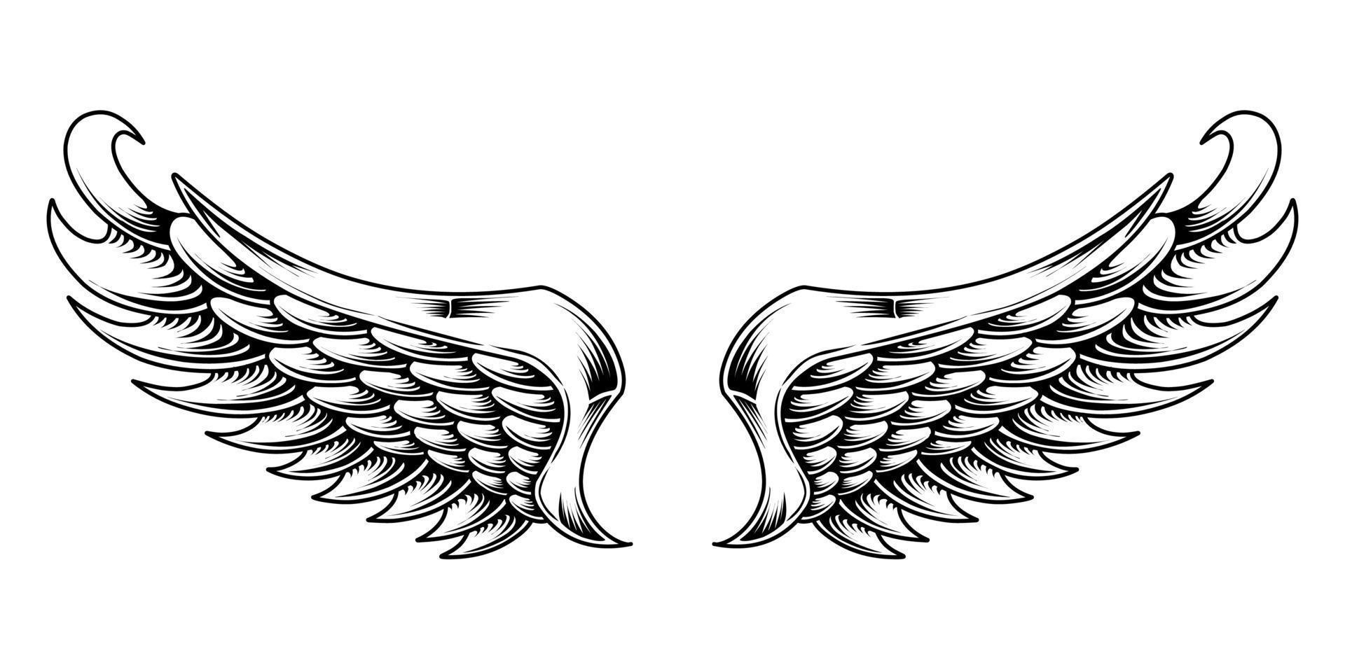 A black and white illustration of a pair of angel wings vector