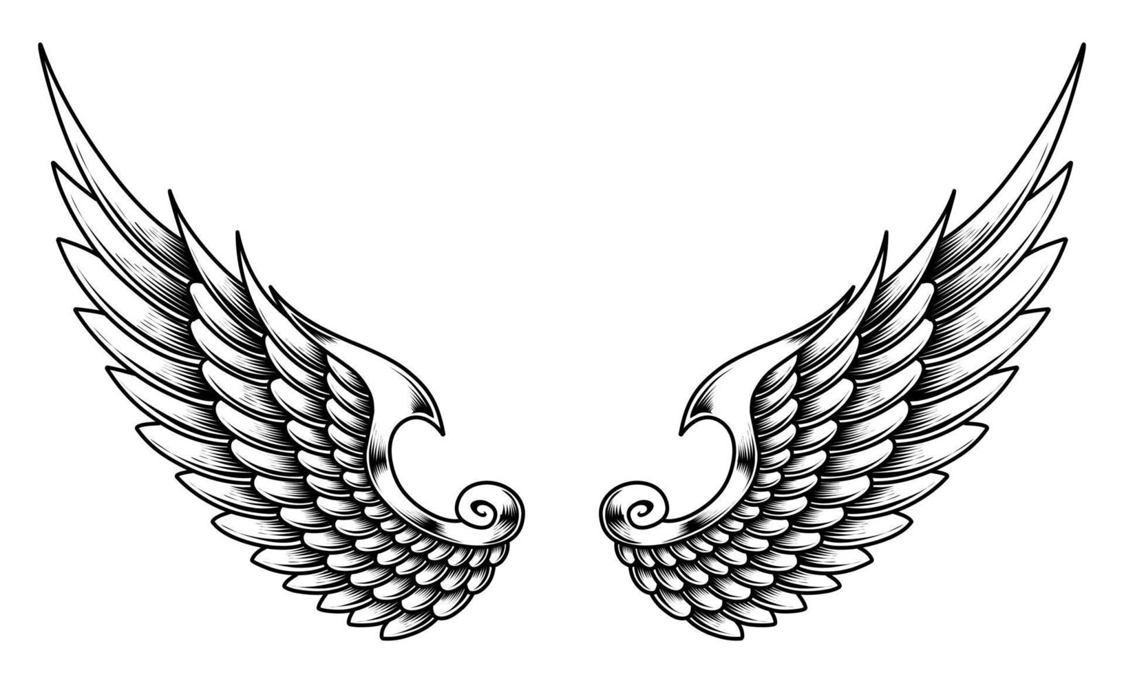 un negro y blanco ilustración de un par de ángel alas vector