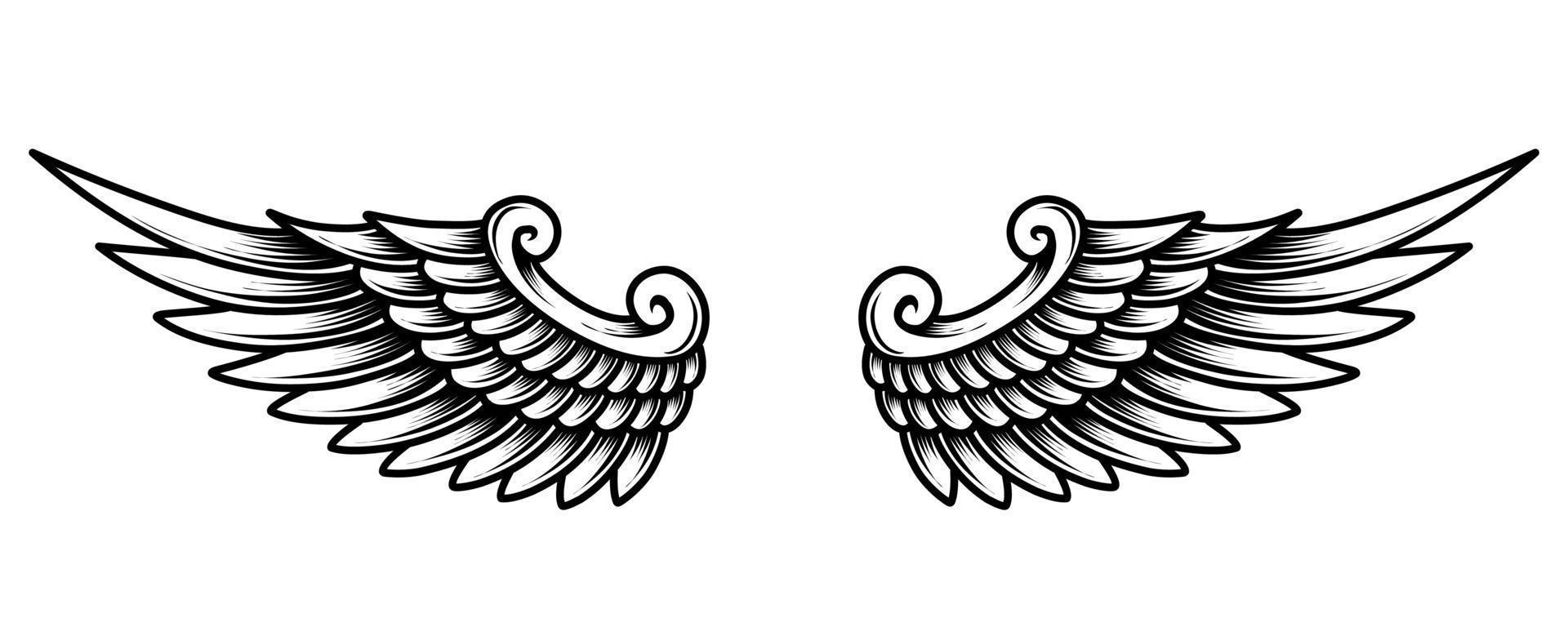 A black and white illustration of a pair of angel wings vector