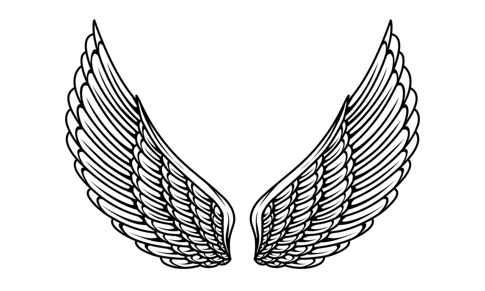 A black and white illustration of a pair of angel wings vector