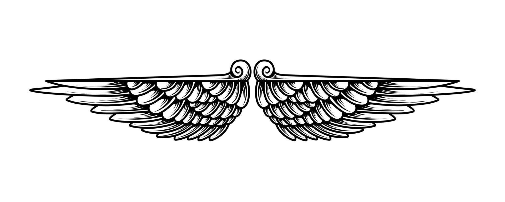 free vector angel wings illustration design