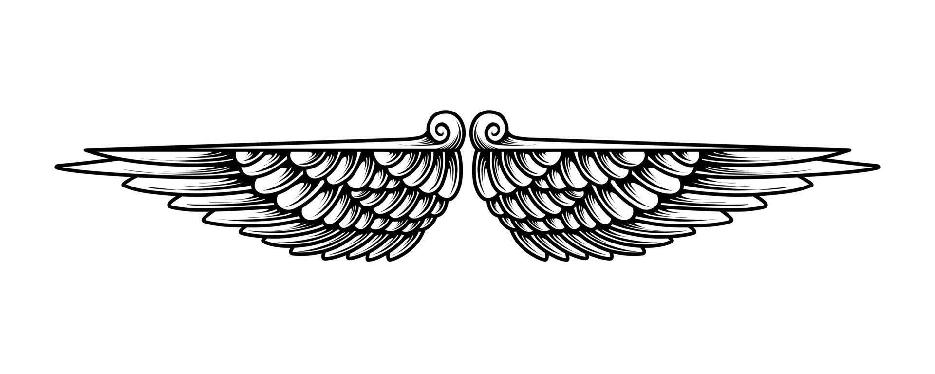 free vector angel wings illustration design