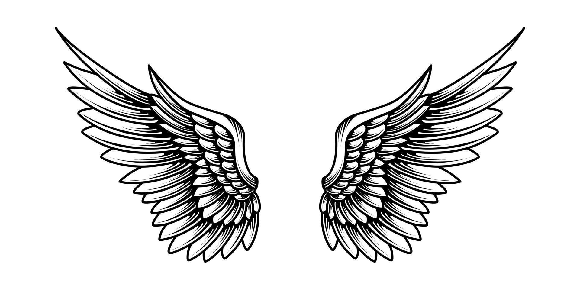 free vector angel wings illustration design