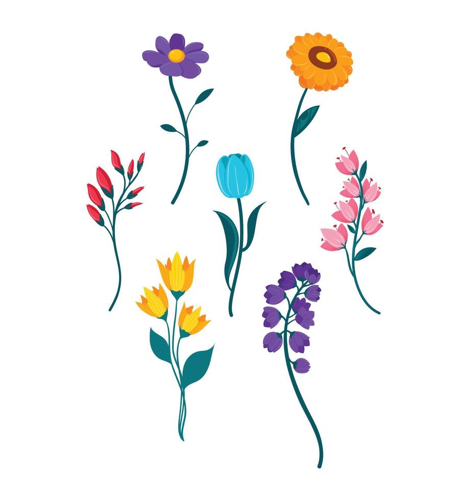 flat vector spring flowers