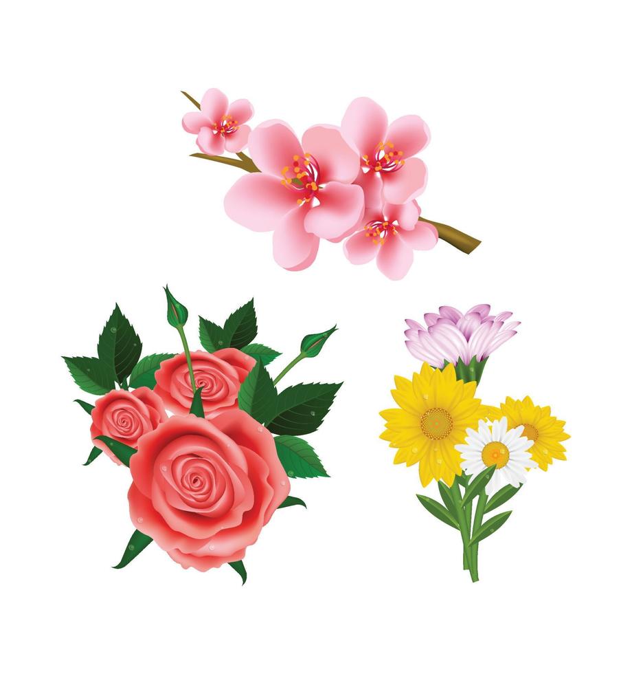 Beautiful realistic flowers collection vector