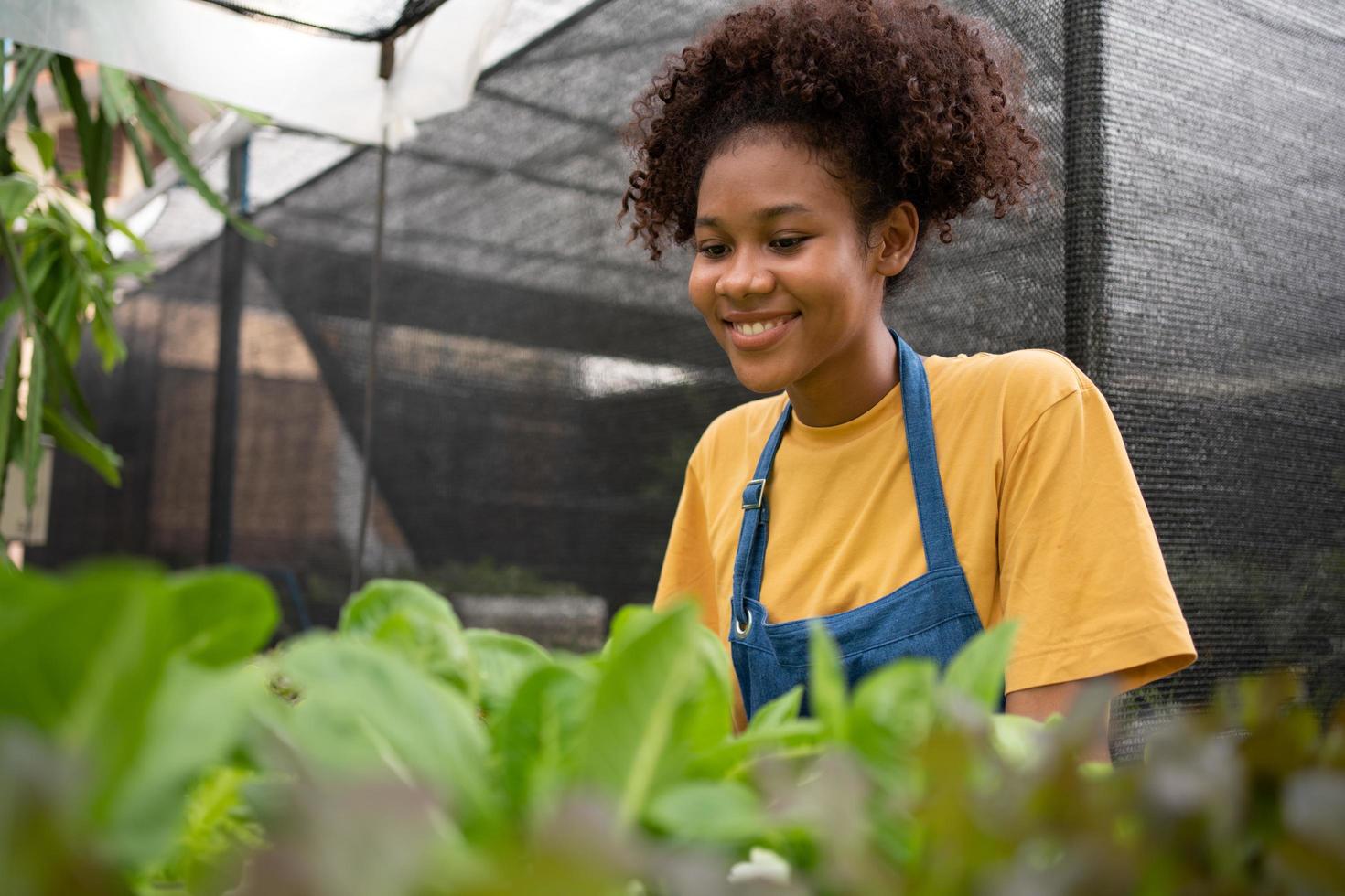 retrato de contento medio tailandés medio africano mujer granjero en pie detrás vegetal trama en su patio interior. concepto de agricultura orgánico para salud, vegano comida y pequeño negocio. foto