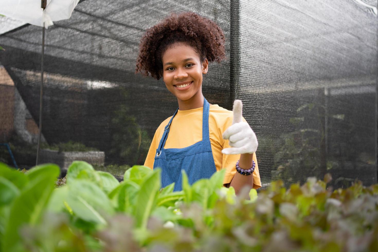 Portrait of happy half Thai half African woman farmer standing behind vegetable plot in her backyard. Concept of agriculture organic for health, Vegan food and Small business. photo