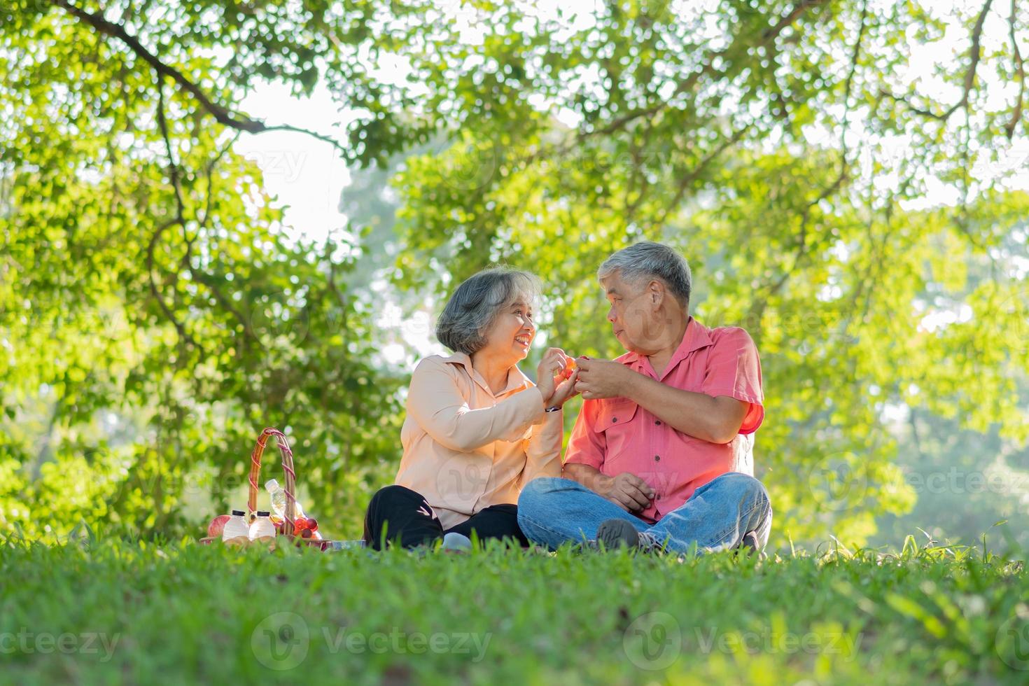Happy old elderly couple spouses relaxing and sitting on a blanket in the park and sharing few precious memories. Senior couple having great time together on a picnic. concept of mature relationships photo