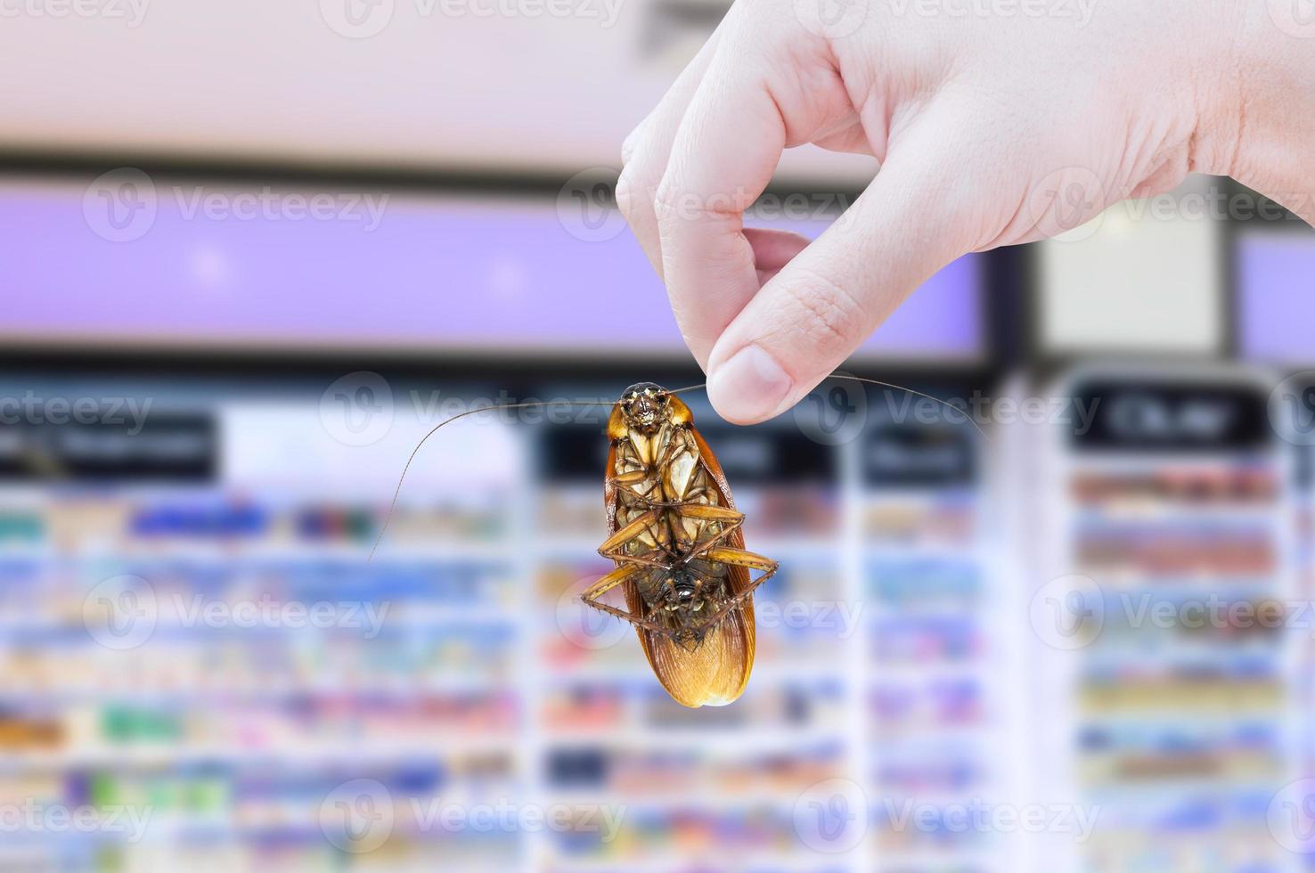 Hand holding cockroach in the supermarket,eliminate cockroach in shopping mall photo