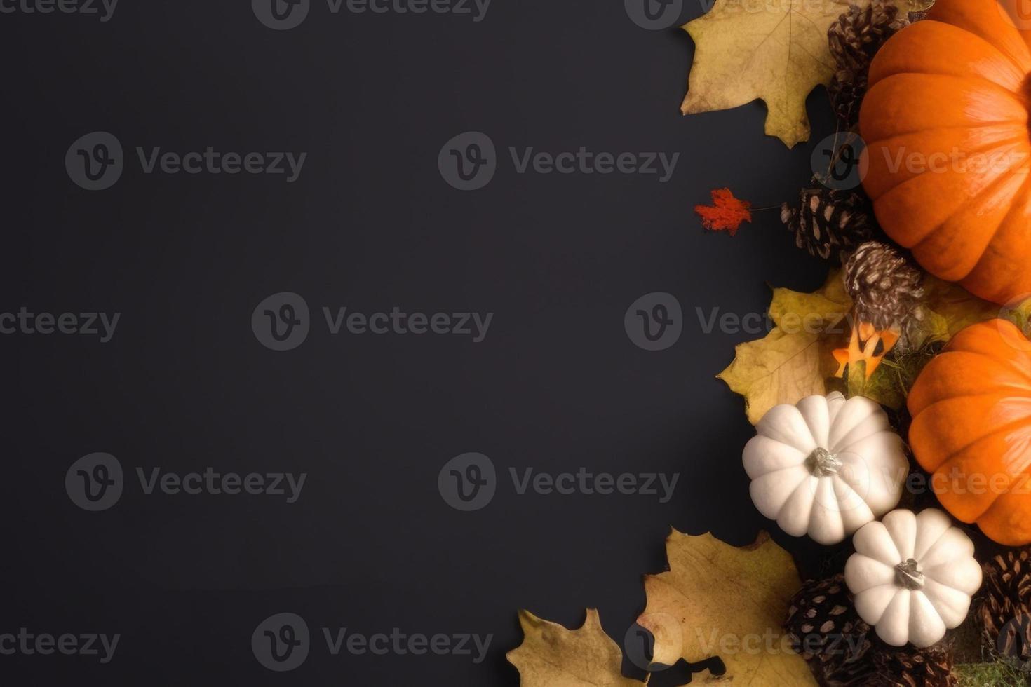 thanks giving background photo