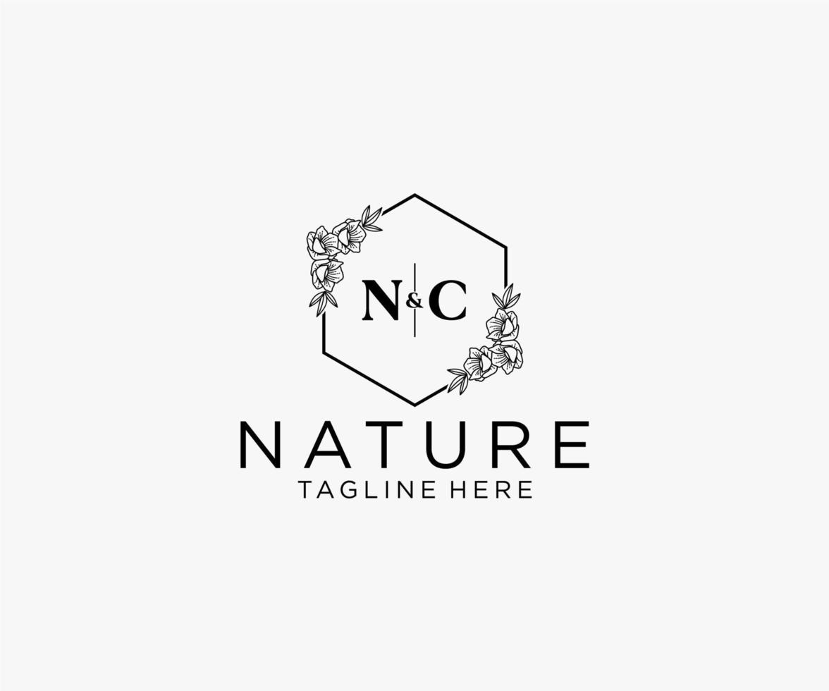 initial NC letters Botanical feminine logo template floral, editable premade monoline logo suitable, Luxury feminine wedding branding, corporate. vector