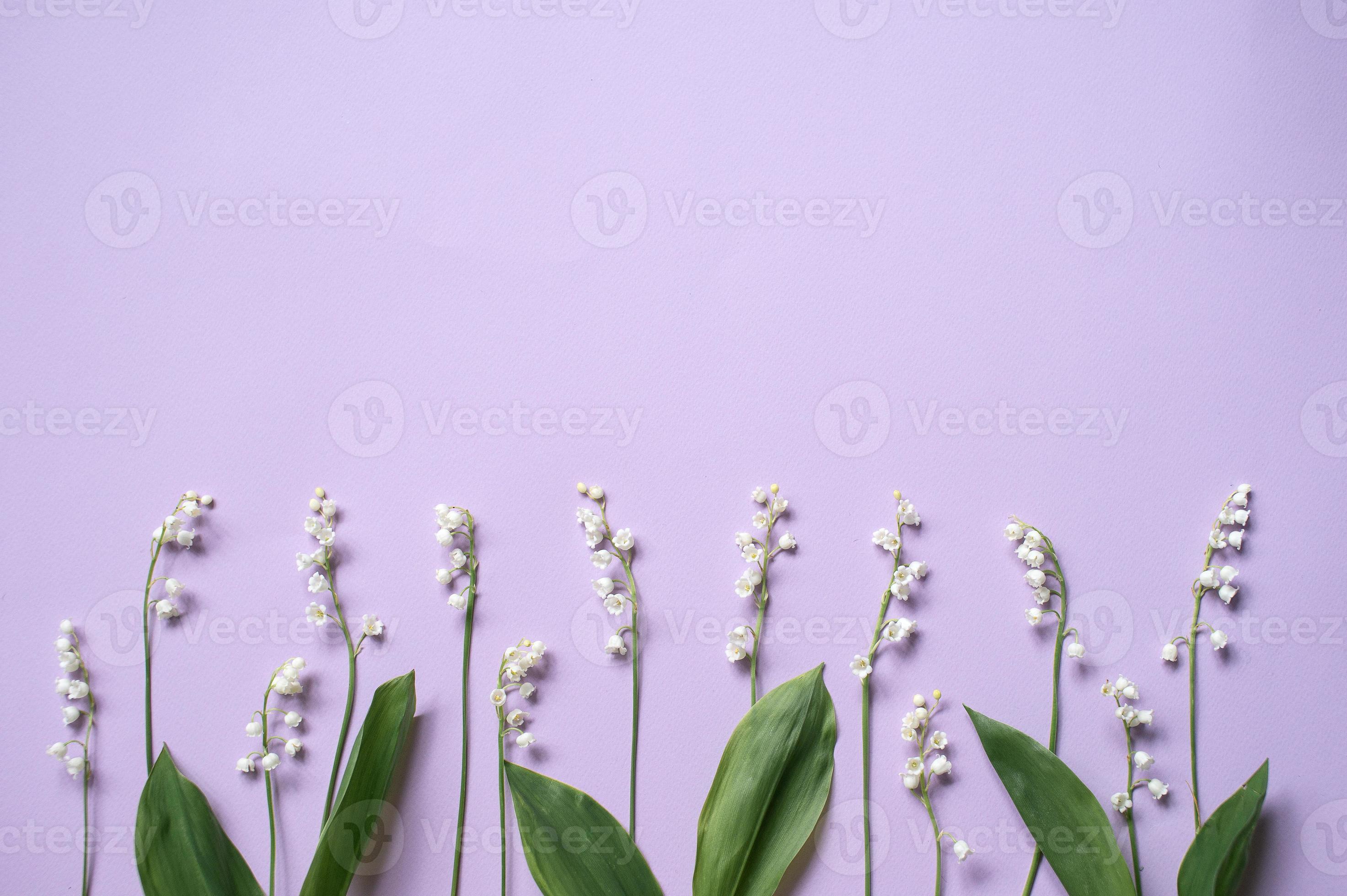 Twigs of lily of the valley flowers lie on a lilac background 21229657