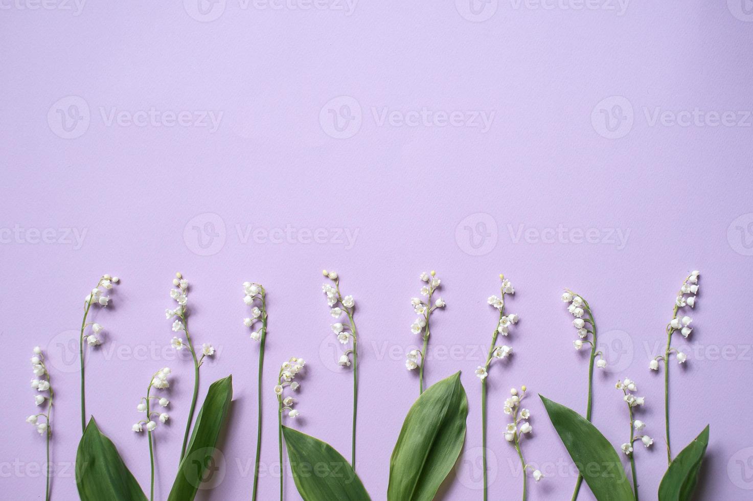 Twigs of lily of the valley flowers lie on a lilac background photo