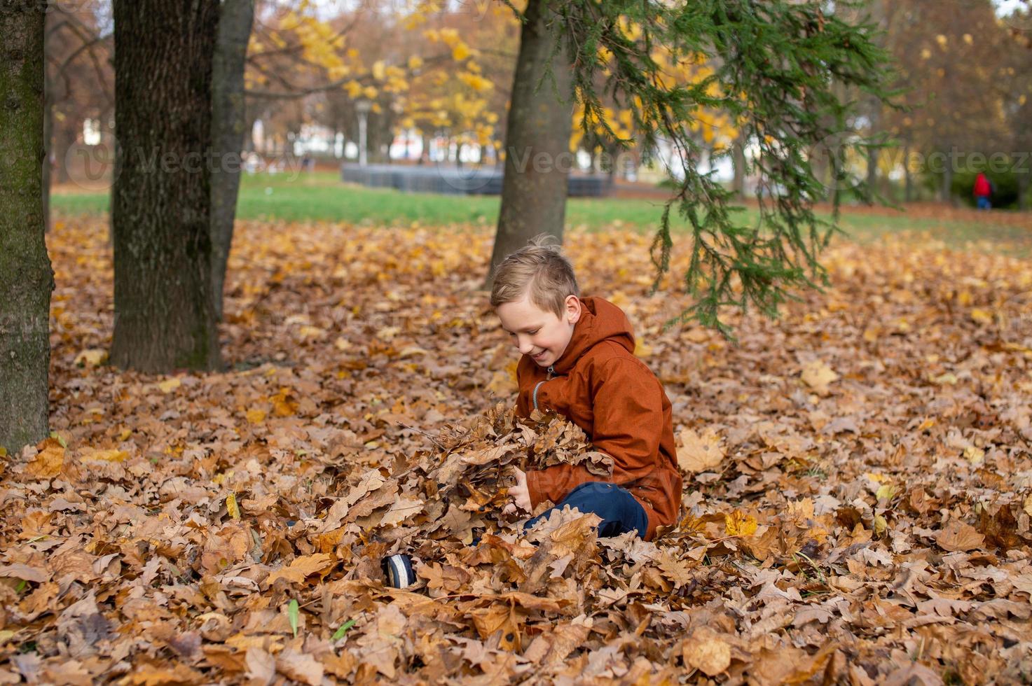Cute boy sitting in autumn leaves in the park photo