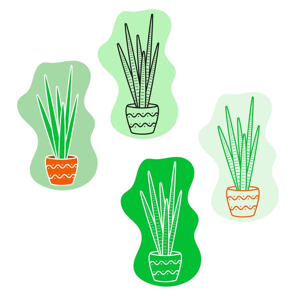 Cactus in a flat style. Collection, Line art, Icon. vector